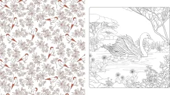 New Beautiful Nature Coloring Book Colorear