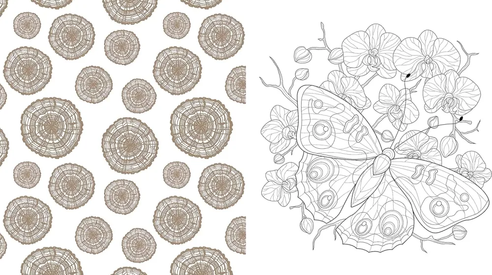 New Beautiful Nature Coloring Book Colorear