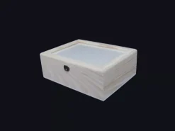 New Caja para plumas Organización