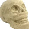 Calavera de Papel Maché Cartón Y Papel Maché