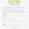 Hot Cestería creativa Labores Y Macramé|Cestería