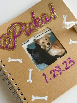 Sale Cola Purpurina líquida 20ml Pinturas Acrílicas