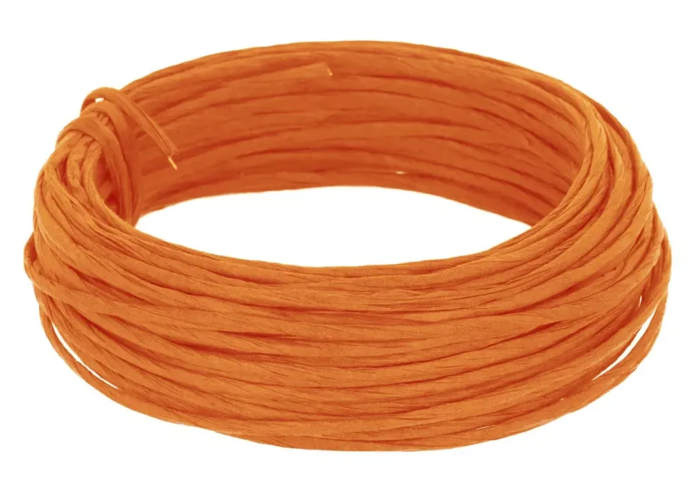 Online Cordón de Papel con Alambre Naranja Time 2mm Goma Eva Fofuchas|Bisutería