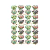 New Cromos Alemanes 32-7132 Papeles