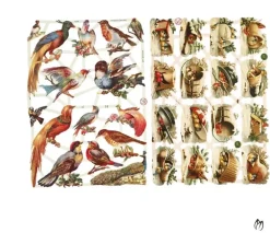 Clearance Cromos Vintage Pájaros Papeles