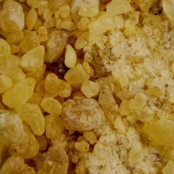 Hot Goma Dammar Barnices