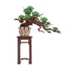 Hot Maqueta Evergreen Pine Bonsai Maquetas Y Modelismo