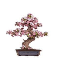 Maqueta Sakura Bonsai Maquetas Y Modelismo