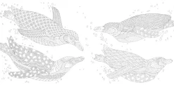 Millie Marotta's Secrets of the Sea Pocket Colouring Colorear