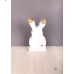 Online Molde PET Silueta Conejo Herramientas Para Modelado