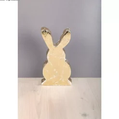 Online Molde PET Silueta Conejo Herramientas Para Modelado