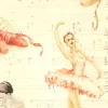 Clearance Papel Bailarinas Papeles