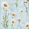Hot Papel Chamomilla 49,5x68cm Papeles