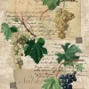 Clearance Papel de Arroz Grapes II 30x21cm Decoupage