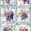 Hot Papel de Arroz Grapes III Fruits Market 54x33cm Decoupage