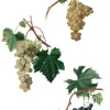 Discount Papel de Arroz Grapes 54x33cm Papeles|Decoupage