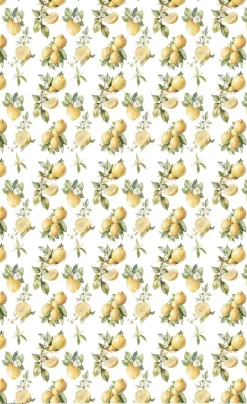 Online Papel de Arroz Lemon V Fruits Market 54x33cm Papel Y Decoupage