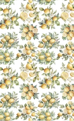 Best Papel de Arroz Lemon VII Fruits Market 54x33cm Papel Y Decoupage