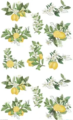 Sale Papel de Arroz Limonero 54x33cm Decoupage|Papeles