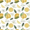 New Papel de Arroz Limones 54x33cm Decoupage|Papeles