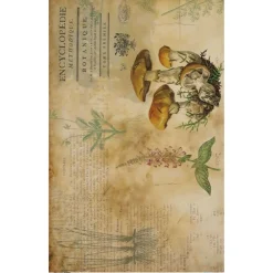 Best Papel de Arroz Mushrooms III Botanical Book 54x33cm Decoupage|Papeles