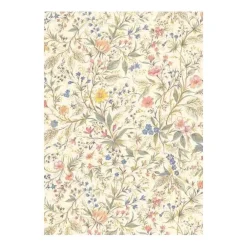 Discount Papel Primavera 49,5x68cm Papeles