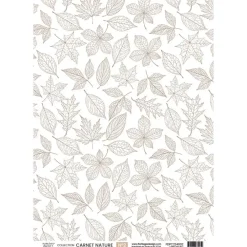 Clearance Papel vellum 02 Carnet Nature A4 Papeles