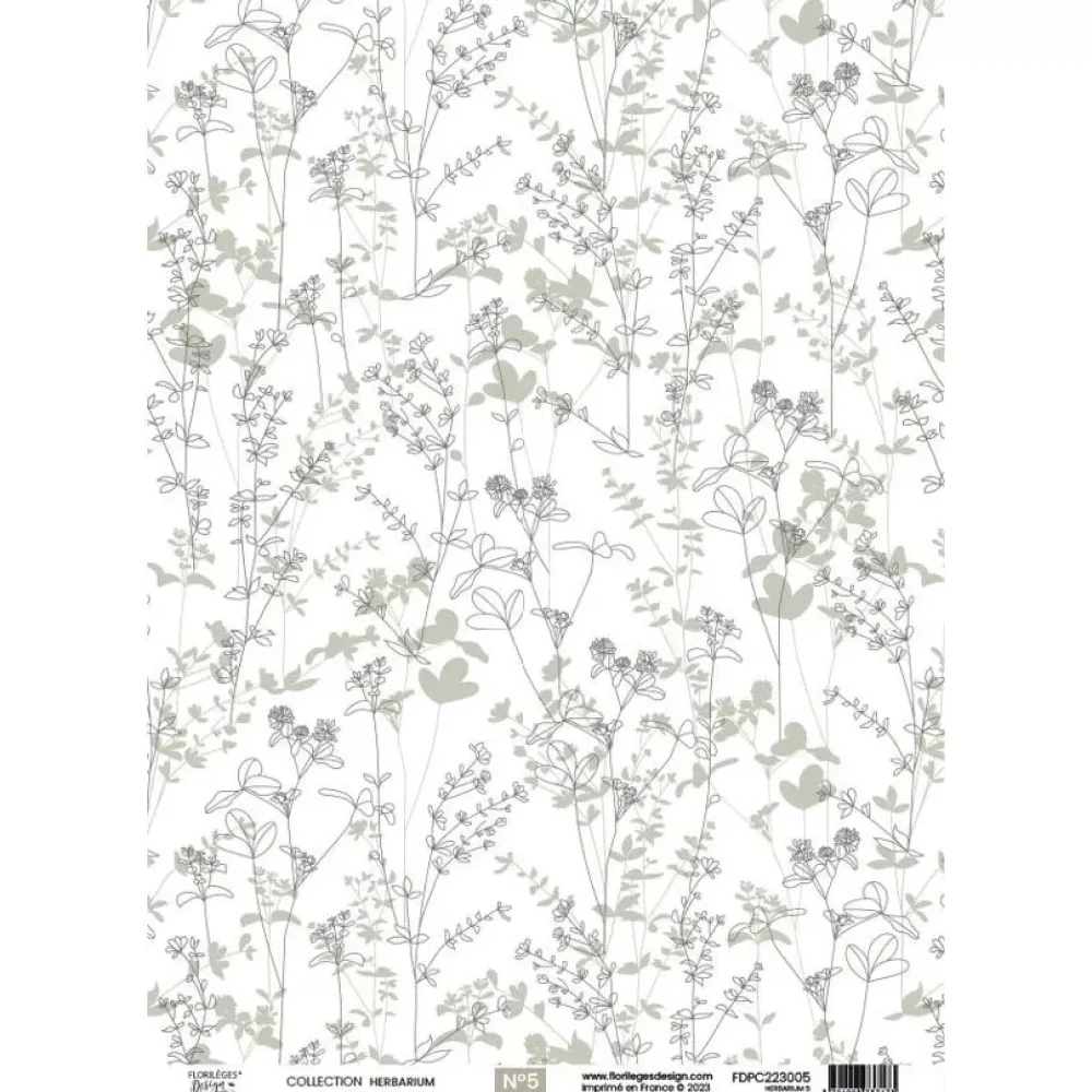 Hot Papel vellum 06 Herbarium A4 Papeles