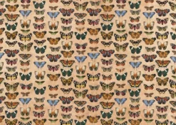 Clearance Paper Press Mariposas Traveler Alberto Juárez Papeles