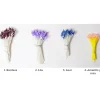 Clearance Pistilos en forma de Penacho Pastas Moldeables|Goma Eva Fofuchas