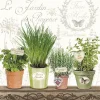 New Servilletas Le Jardin de Provence 33x33cm Decoupage