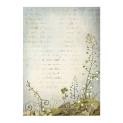 Set 8 papeles de arroz Backgrounds Romantic Hidden Grove 10x15cm Papeles|Decoupage