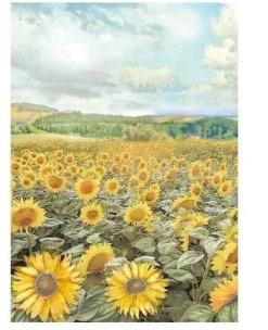 Clearance Set 8 papeles de arroz Backgrounds Sunflower Art 10x15cm Papeles|Decoupage
