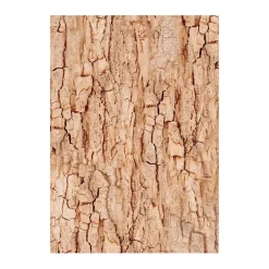 Online Set 8 papeles de arroz Romantic Woodland 10x15cm Decoupage|Papeles