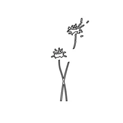 Discount Set de Plantillas de Stencil Making Tool Flowers 15x15cm Plantillas