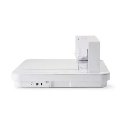 Clearance Curio 2 Silhouette