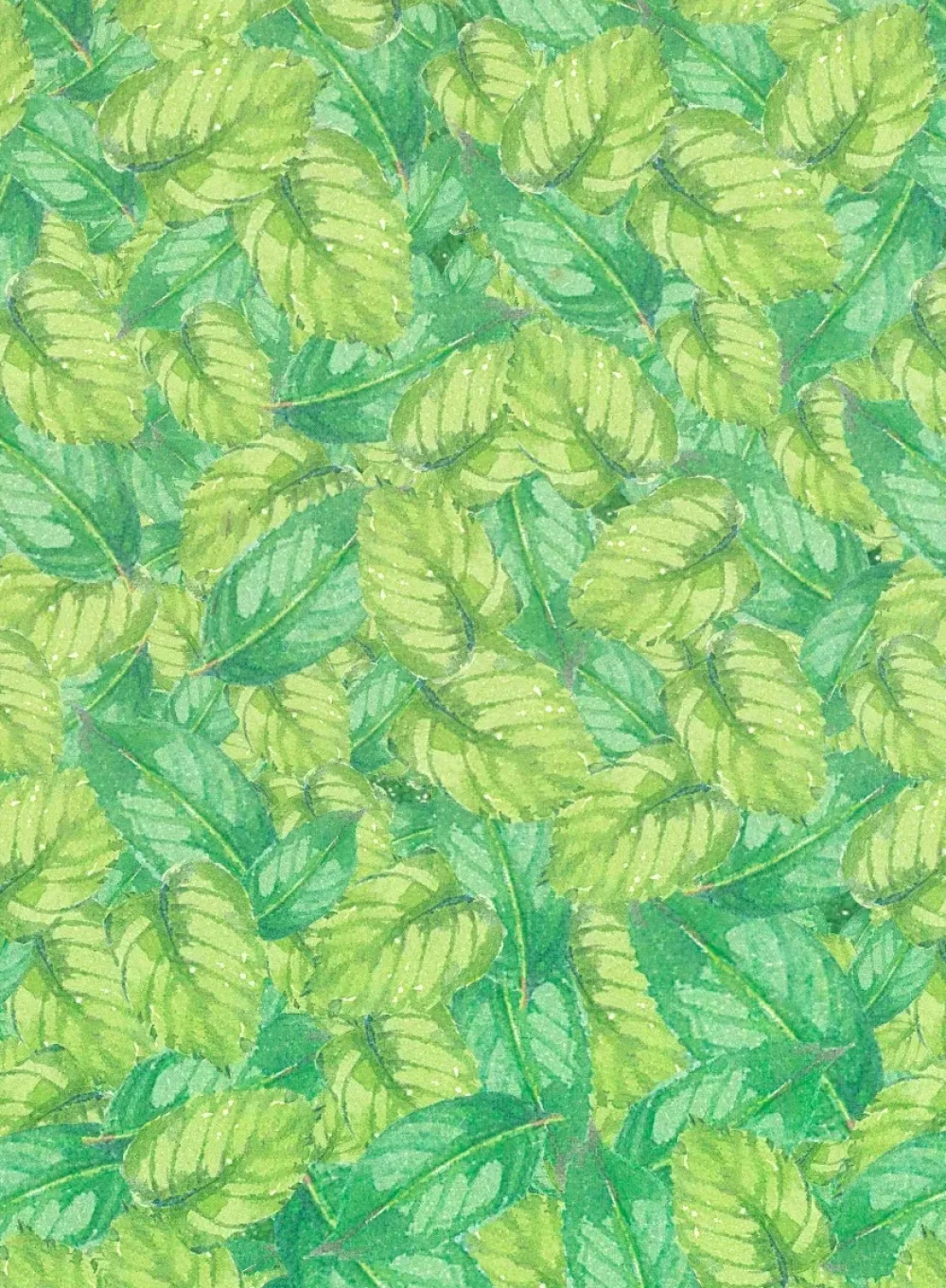 Outlet SUPER OFERTA **40%** Papel Clásico para Decoupage Hojas 50x70cm Decoupage