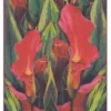 Clearance SUPER OFERTA **40%** Papel Clásico para Decoupage Calas Rojas Decoupage