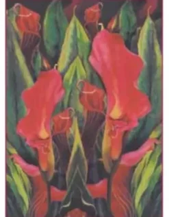Clearance SUPER OFERTA **40%** Papel Clásico para Decoupage Calas Rojas Decoupage