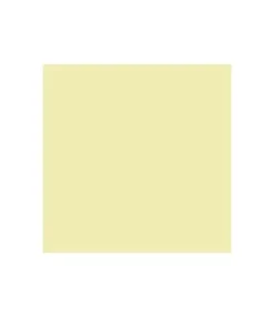 Best SUPER OFERTA **60%** Pintura Acrílica Allegro Trigo 473ml Pinturas Acrílicas