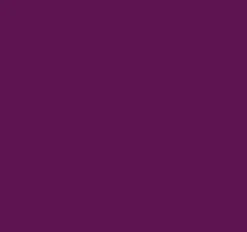 Clearance SUPER OFERTA **40%** Pintura para tela Uva morada SoSoft 29.6ml Pinturas Para Tela Y Seda|Telas, Sedas Y Fieltro
