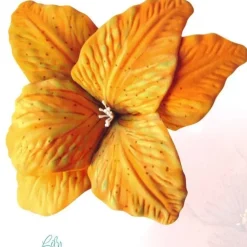 Best SUPER OFERTA **70%** Mania. Ideas para decorar con moldes nº2 Navidad