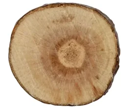 Best Surtido de Madera Maderas