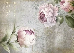 Sale Tela de Encuadernar Peonies II La Vie en Fleurs 70x50cm Telas, Sedas Y Fieltro